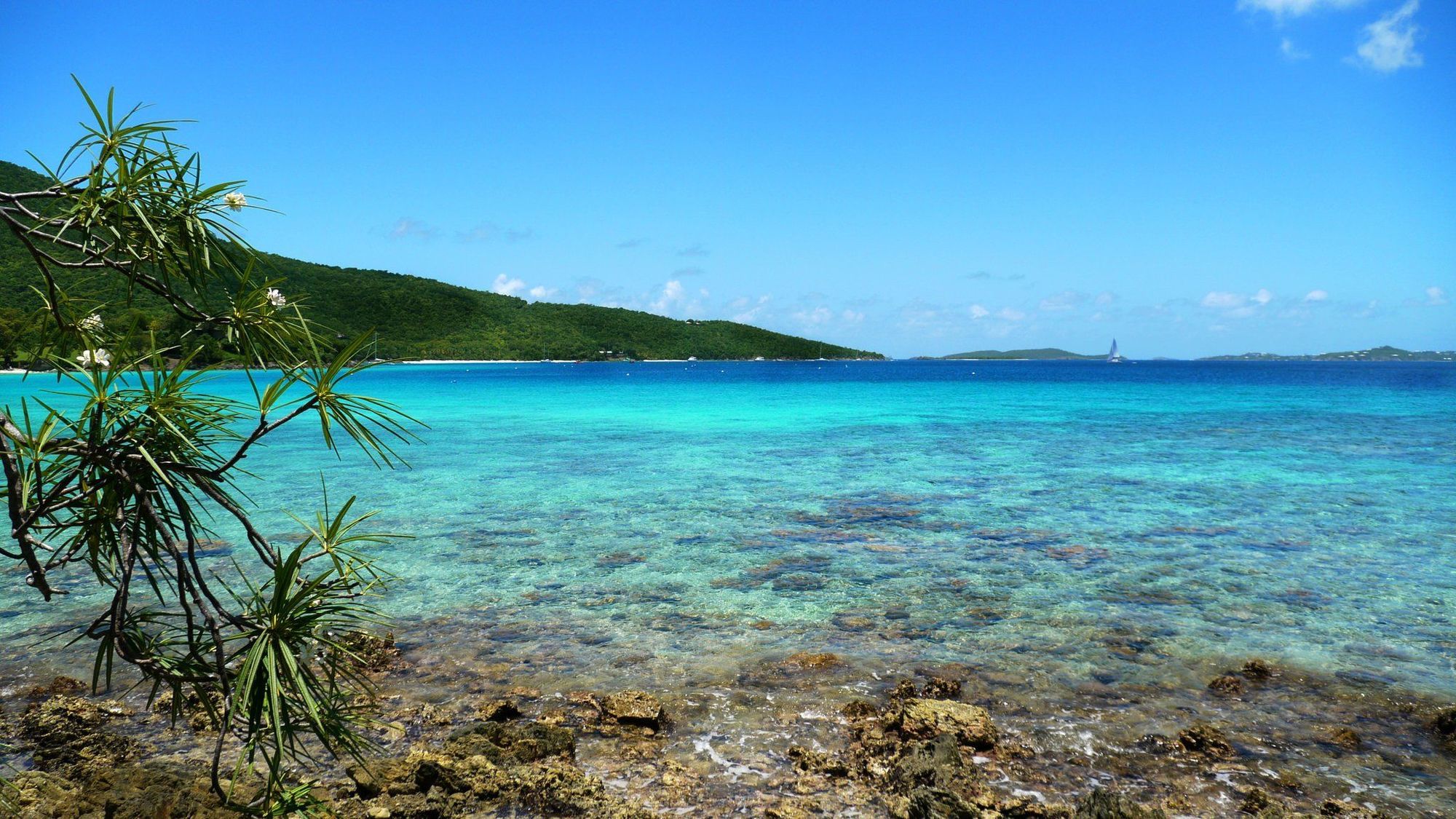 Cruz Bay Caneel Bay Resort מתקנים תמונה