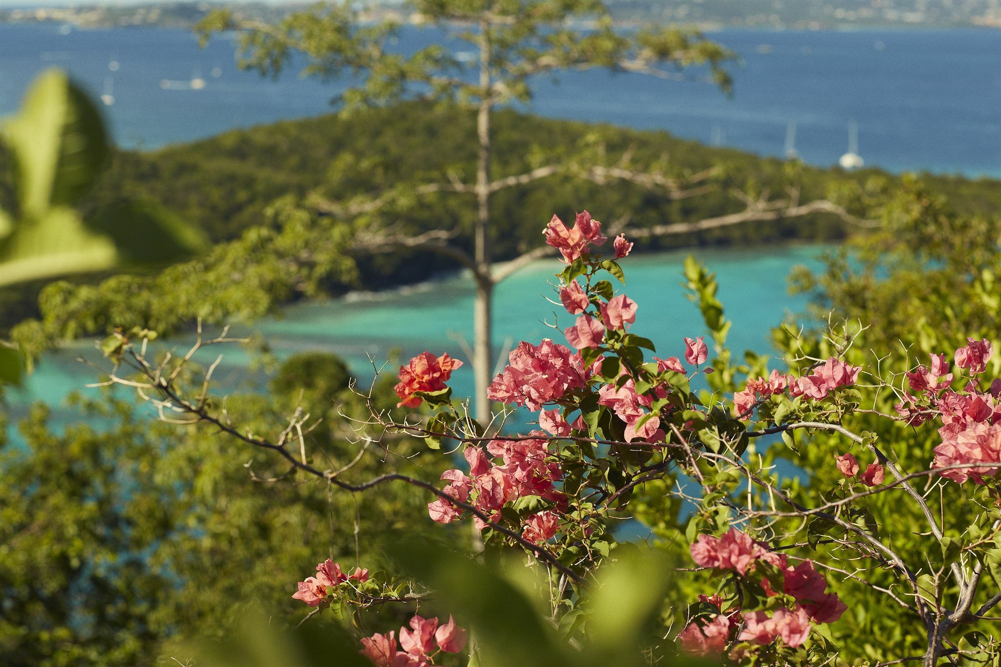 Cruz Bay Caneel Bay Resort מראה חיצוני תמונה