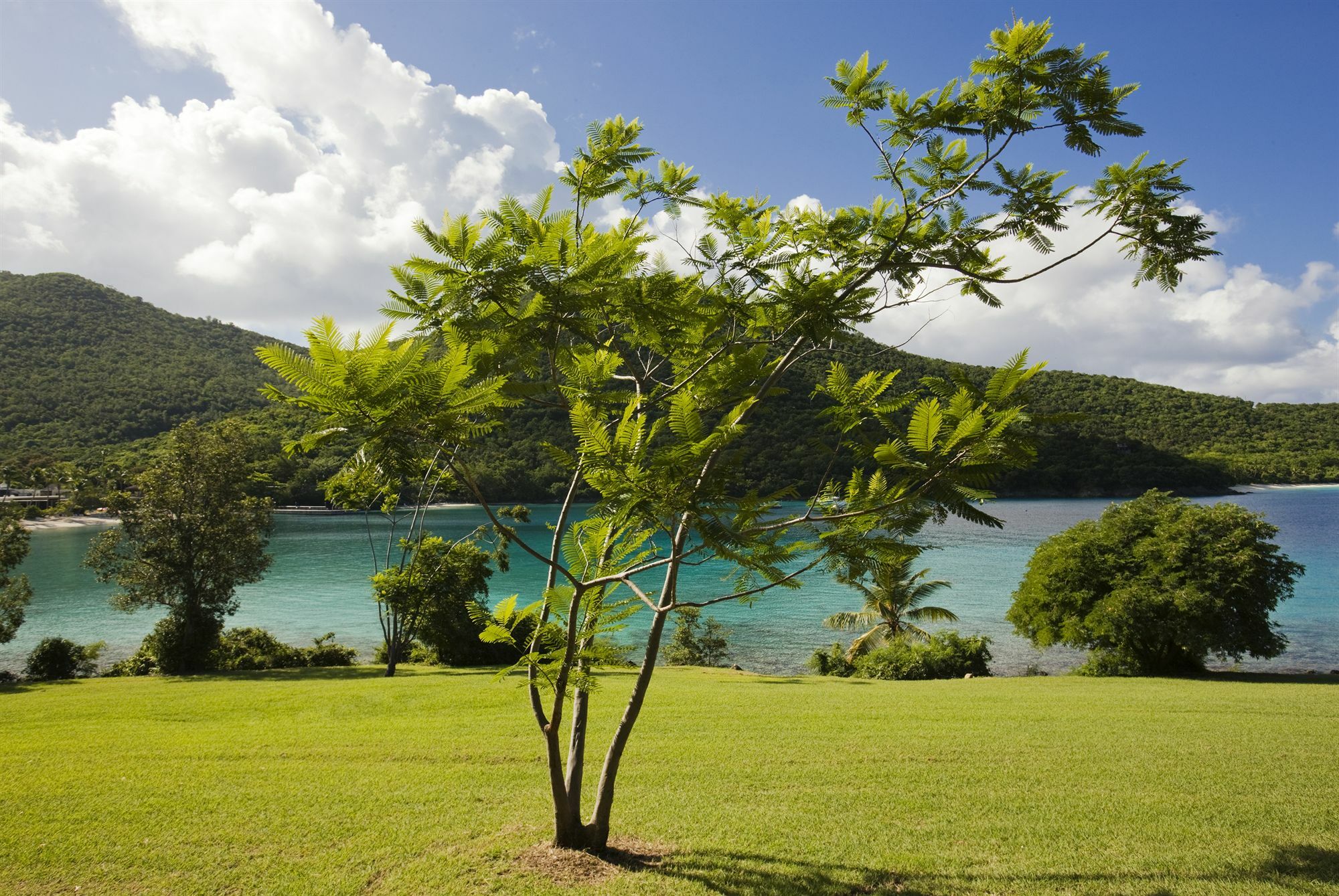 Cruz Bay Caneel Bay Resort מראה חיצוני תמונה